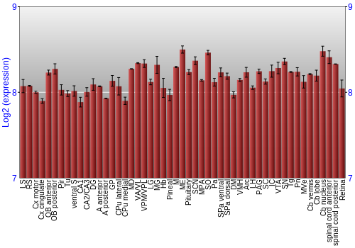 Expression graph