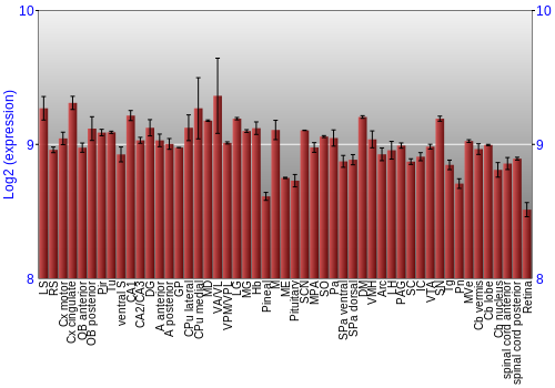 Expression graph