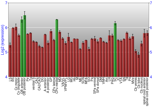 Multi-state expression graph