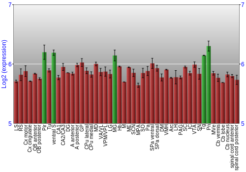 Multi-state expression graph
