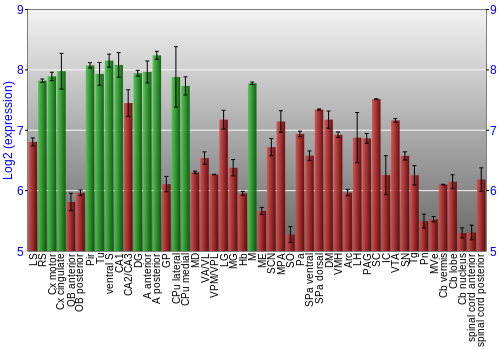 Multi-state expression graph