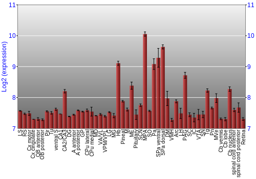 Expression graph