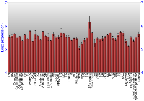 Expression graph