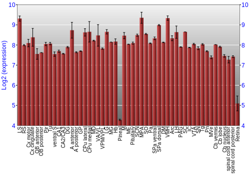 Expression graph