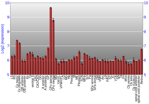 Expression graph