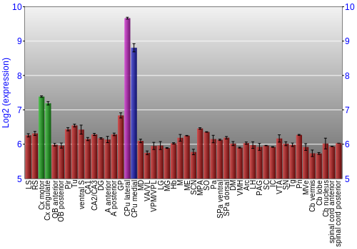 Multi-state expression graph