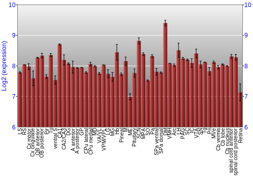 Expression graph