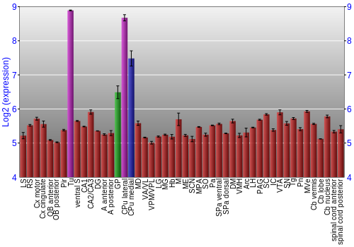 Multi-state expression graph