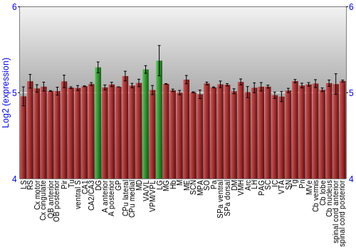 Multi-state expression graph