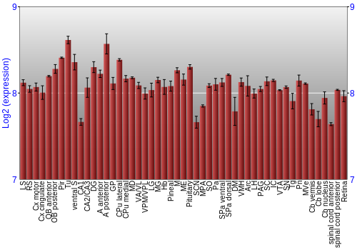 Expression graph