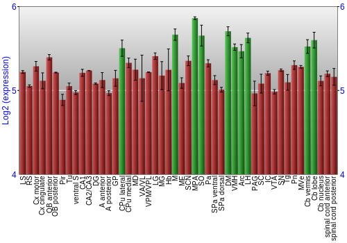 Multi-state expression graph