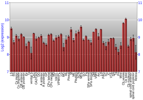 Expression graph