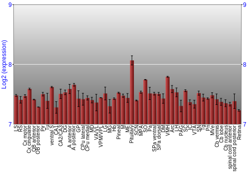 Expression graph