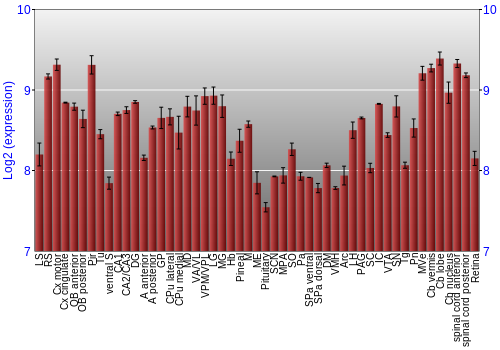 Expression graph