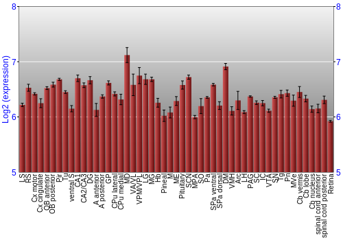 Expression graph