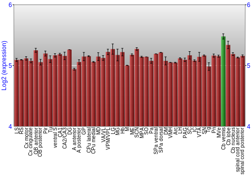 Multi-state expression graph