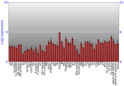 Expression graph