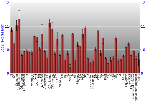 Expression graph