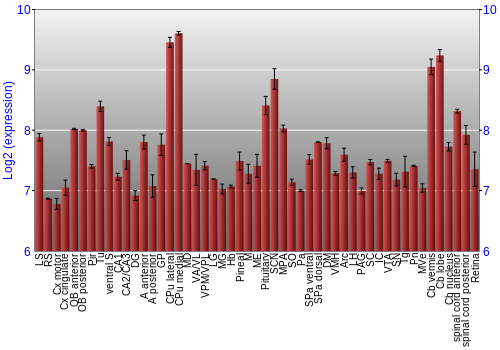 Expression graph