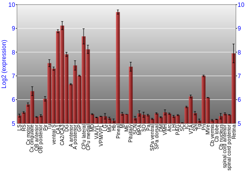 Expression graph