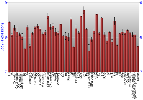Expression graph