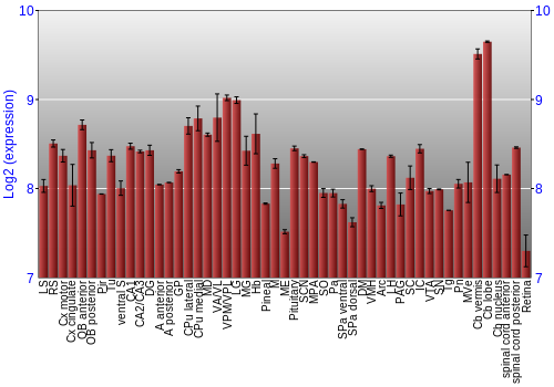 Expression graph