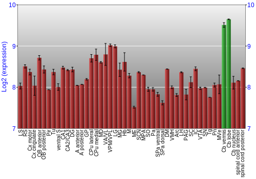 Multi-state expression graph