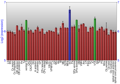 Multi-state expression graph