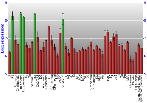 Multi-state expression graph