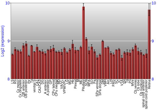 Expression graph