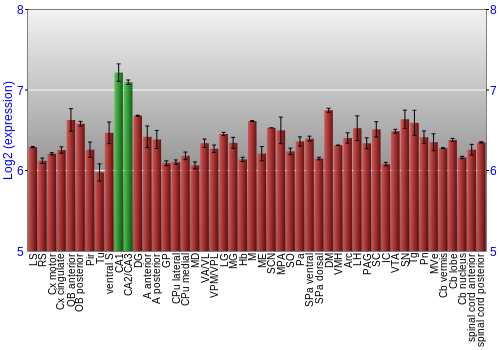 Multi-state expression graph