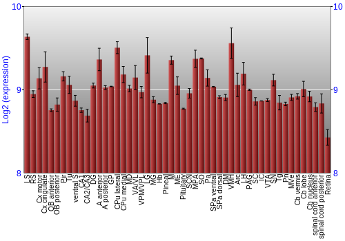 Expression graph
