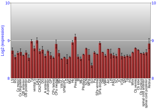 Expression graph