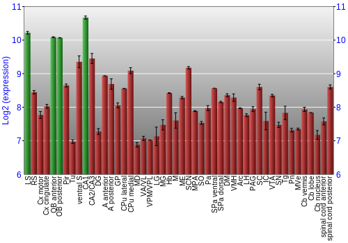 Multi-state expression graph
