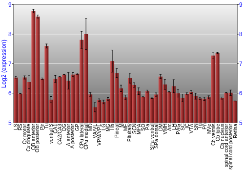 Expression graph