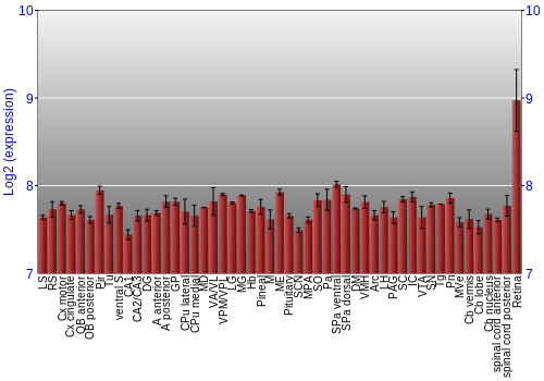 Expression graph