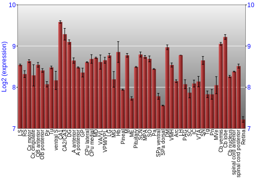 Expression graph