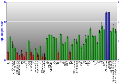 Multi-state expression graph
