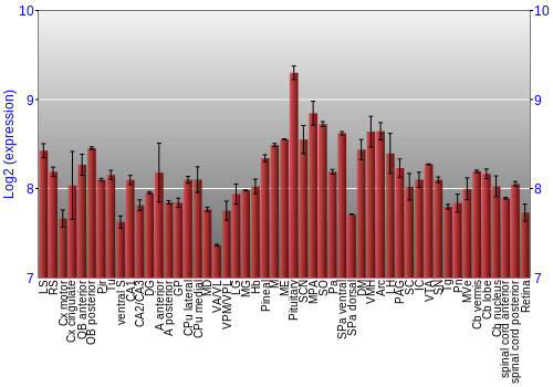 Expression graph
