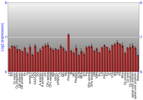 Expression graph