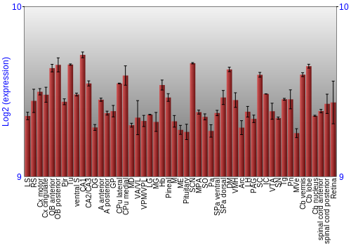 Expression graph