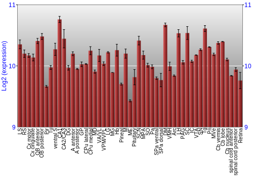 Expression graph