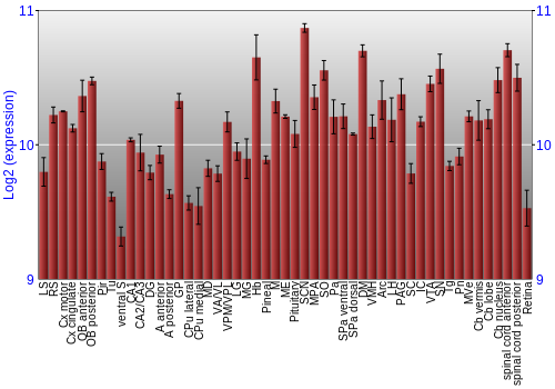 Expression graph