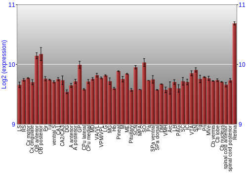 Expression graph