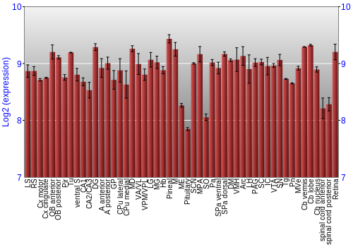 Expression graph