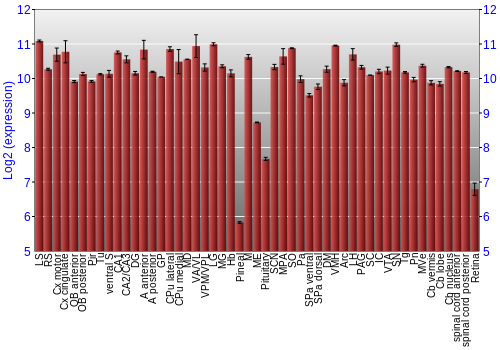 Expression graph