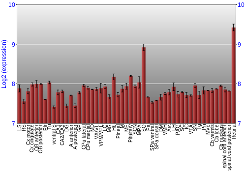 Expression graph