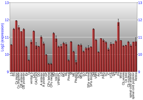 Expression graph