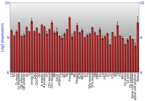 Expression graph
