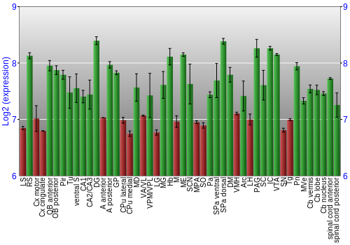 Multi-state expression graph